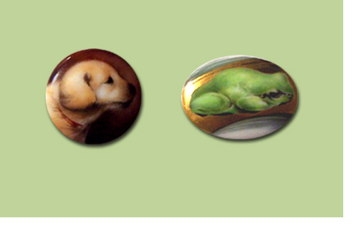 frog and labrador