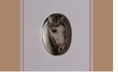 white horse